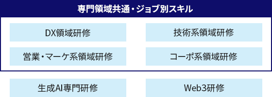 図:専門スキル内容