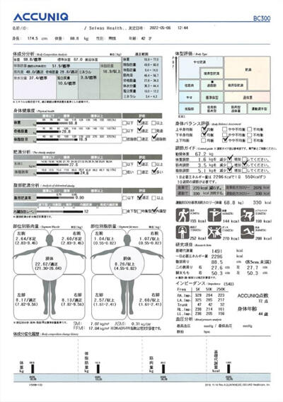 イメージ:体組成結果シート